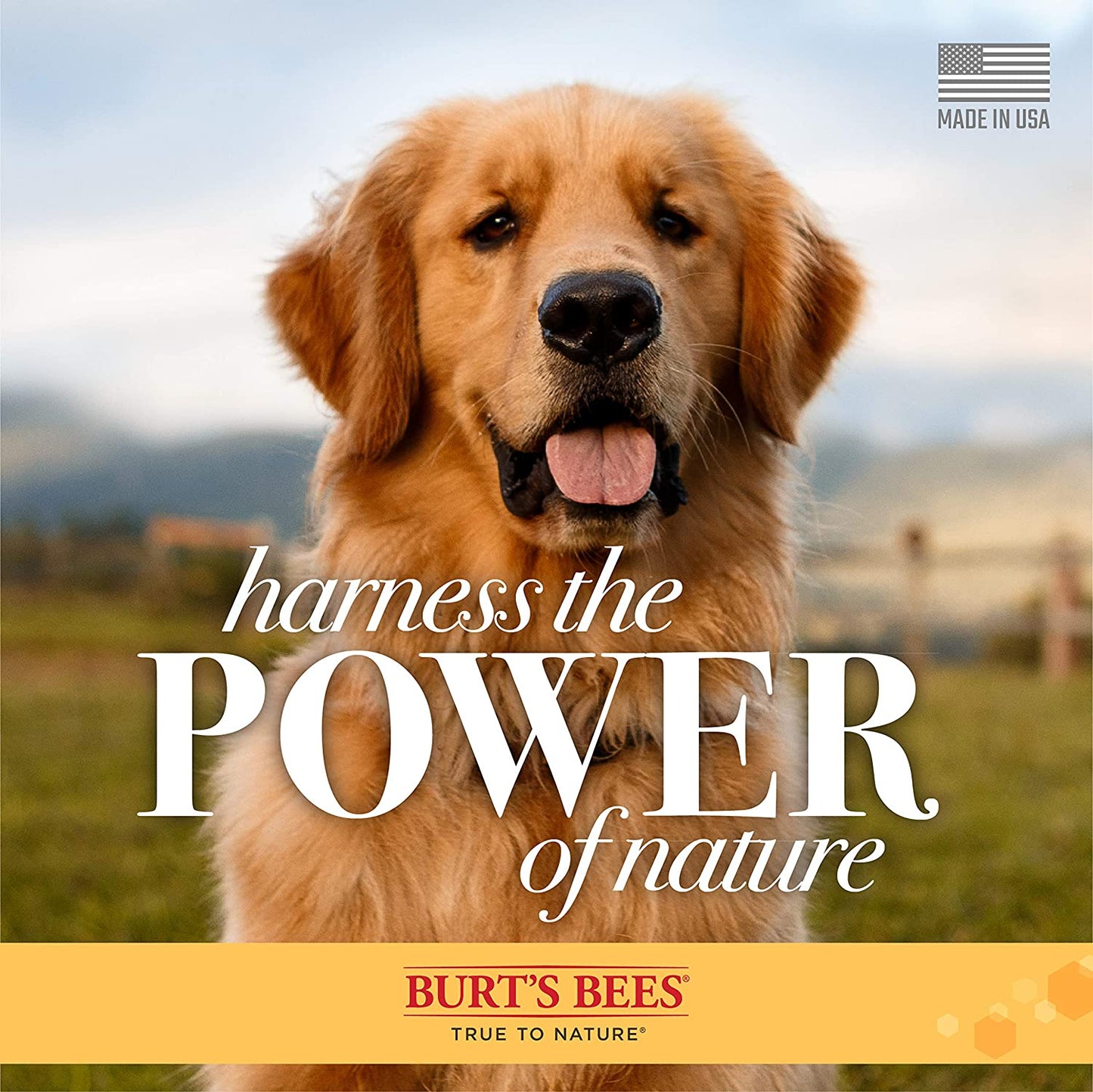 Burt'S Bees for Dogs Natural Waterless Shampoo Spray for Dogs, Apple and Honey Waterless Shampoo Spray, Dogs Shampoo, Dog Bathing Supplies, Dog Wash, Dog Grooming Supplies, Dog Spray